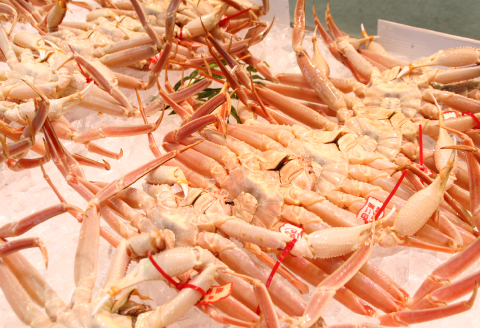 鳥取県産 訳あり松葉ガニ 3枚