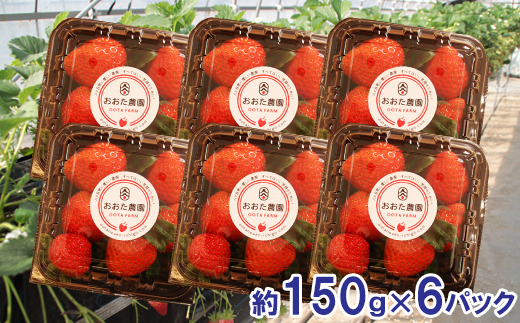 【先行予約】鳥取県産 いちご　約150g×6パック