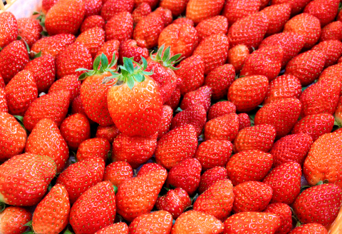 おおた農園のジャムセット（いちご・ゆず）