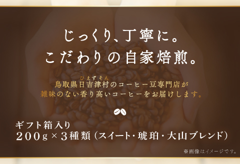 自家焙煎コーヒー（粉）ギフト箱入り　600g（200g×3種）