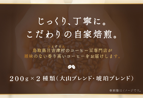 自家焙煎コーヒー（豆）　400g（200g×2種）
