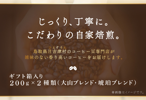 自家焙煎コーヒー（粉）ギフト箱入り　400g（200g×2種）