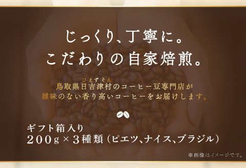 人気のコーヒー（粉）ギフト箱入り　600g（200g×3種）