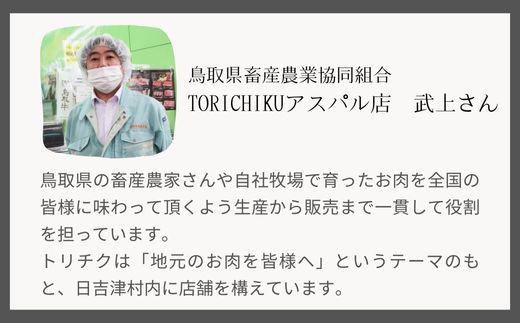 鳥取和牛 切り落とし 500g【切落し 切り落し 炒め物 煮込み 鳥取 和牛 ご自宅用 お取り寄せ グルメ プレゼント 冷凍 】