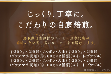 【6回定期便】【コーヒー粉】極上自家焙煎コーヒー　400g×6回