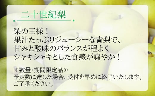 二十世紀梨　秀4kg