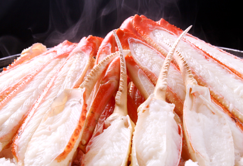 【蒸し】タグ付き松葉ガニ 大 1枚【松葉ガニ 松葉がに 松葉蟹 まつばがに かに カニ 冷蔵 チルド ブランド ズワイガニ 蒸し ボイル タグ付き 国産 季節限定 お取り寄せ お祝い 鳥取県 日吉津村 日本海】