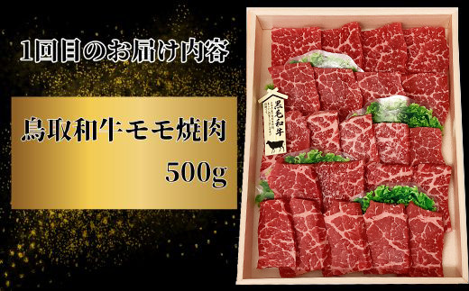 【3回定期便】鳥取和牛 焼肉コース