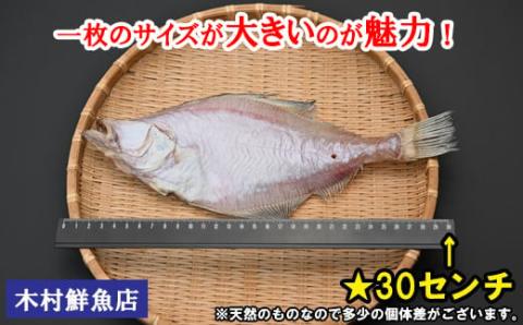 境港産一夜干しかれい（16枚）