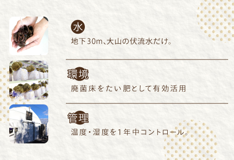 オーガニックきのこバラエティセット約1.5kg（5種13パック入）