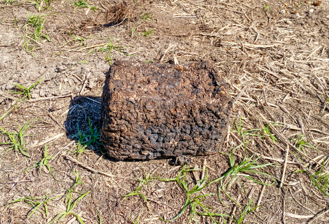 家庭菜園やカブトムシ・クワガタムシのマットに。廃菌床12個入り【サステナブル 家庭菜園 土壌 再利用 廃菌床】