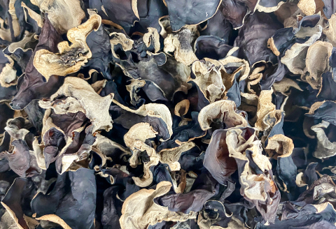 オーガニック乾燥しいたけ（20ｇ×5袋）＆乾燥きくらげ（20ｇ×5袋）セット【保存食 長期保存 椎茸 シイタケ 木耳 キクラゲ 乾燥 野菜】