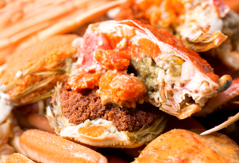 【蒸し】訳あり足折れご自宅用　日本海産親ガニ（セコガ二） 10枚【訳あり かに カニ 親ガニ セコガニ ずわいがに ズワイガニ 冷蔵 チルド ブランド 蒸し ボイル 足折れ 自宅用 国産 季節限定 お取り寄せ 鳥取県 日吉津村 日本海】