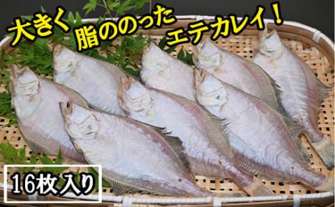 境港産一夜干しかれい（16枚）