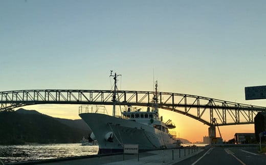 特選干物セット