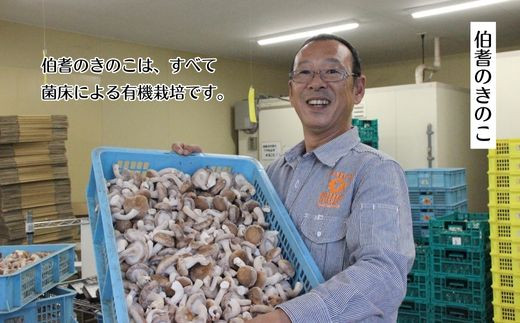 森くらげ化粧水 150ml