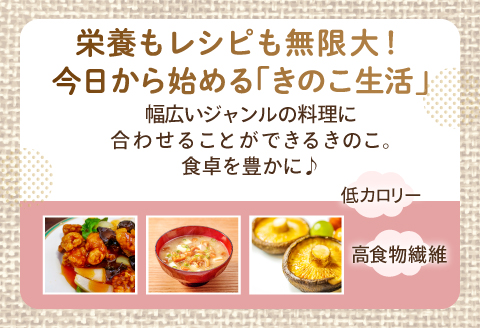 オーガニックきのこバラエティセット約1.5kg（5種13パック入）