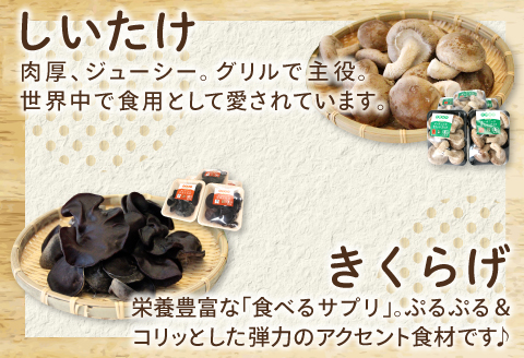 オーガニックきのこバラエティ小セット約800g（5種9パック入）