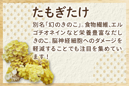 HO07：たもぎ茸の万脳だし １袋