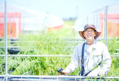 オーガニック菌床きくらげ200g×6袋【きくらげ 木耳 森のサプリ オーガニック 野菜 きのこ】