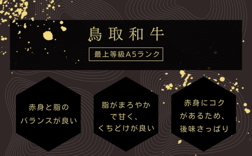【A5】鳥取和牛ふぞろい焼肉切り落とし 500g【肩ロース サーロイン 三角バラ ランプ ヒレ ランダム 焼き肉 やきにく 切落し 切り落し 和牛 不揃い ご自宅用 ギフト 熨斗 プレゼント お取り寄せ グルメ 冷凍】