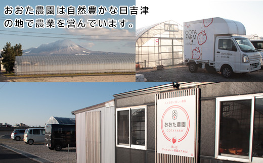 干し芋 紅はるか　80g×10袋