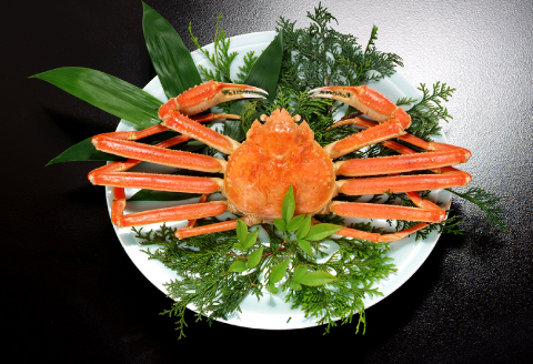 【蒸し】ご自宅用松葉ガニ 大 1枚【松葉ガニ 松葉がに 松葉蟹 まつばがに かに カニ 冷蔵 チルド ブランド ズワイガニ 蒸し ボイル 自宅用 国産 季節限定 お取り寄せ 鳥取県 日吉津村 日本海】