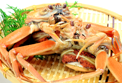 【蒸し】訳あり足折れご自宅用　日本海産親ガニ（セコガ二） 10枚【訳あり かに カニ 親ガニ セコガニ ずわいがに ズワイガニ 冷蔵 チルド ブランド 蒸し ボイル 足折れ 自宅用 国産 季節限定 お取り寄せ 鳥取県 日吉津村 日本海】