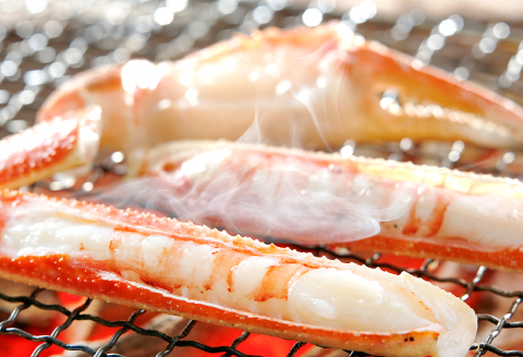 【活き】タグ付き松葉ガニ　大　１枚