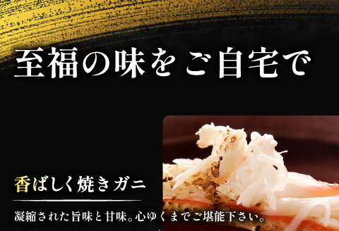 【活き】ご自宅用松葉ガニ　中　3枚【松葉ガニ 松葉がに 松葉蟹 まつばがに かに カニ 冷蔵 チルド ブランド ズワイガニ 活き 自宅用 冬 国産 季節限定 お取り寄せ 鳥取県 日吉津村 日本海】
