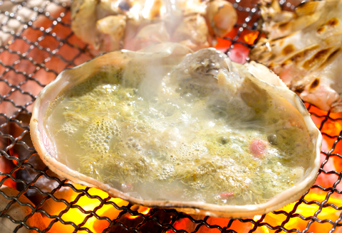 【活き】ご自宅用松葉ガニ　大　２枚