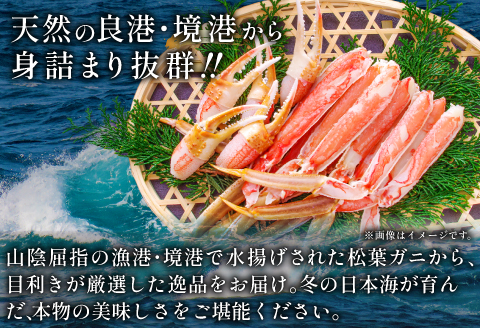 【活き】訳あり足折れご自宅用　日本海産親ガニ（セコガ二） 3枚