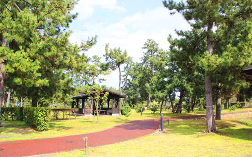 日吉津村海浜運動公園キャンプ場　サイト宿泊利用券（１泊）　Bサイト