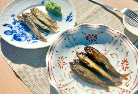 日野川育ちの「夏香鮎」小鮎（約10㎝）瞬間冷凍 1kg