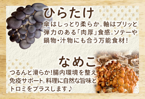 オーガニックきのこバラエティ小セット約800g（5種9パック入）