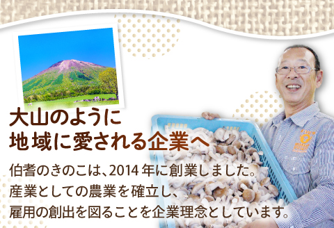 HO08：たもぎ茸の万脳だし ２袋