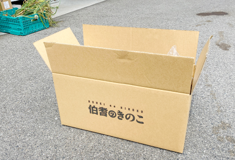 家庭菜園やカブトムシ・クワガタムシのマットに。廃菌床12個入り【サステナブル 家庭菜園 土壌 再利用 廃菌床】