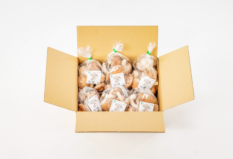 オーガニック菌床しいたけ200g×6袋【椎茸 オーガニック 菌床 野菜 きのこ キノコ】