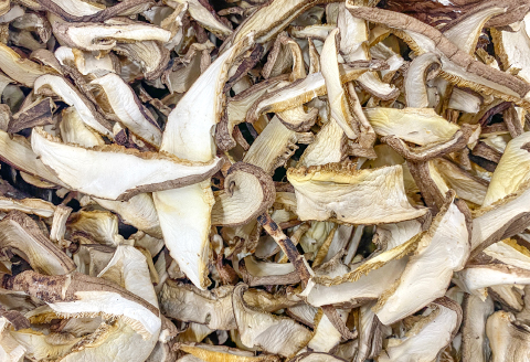 オーガニック乾燥しいたけ（20ｇ×5袋）＆乾燥きくらげ（20ｇ×5袋）セット【保存食 長期保存 椎茸 シイタケ 木耳 キクラゲ 乾燥 野菜】