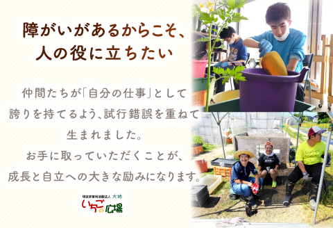 くつろぎcafeいちご　焼菓子詰め合わせセット