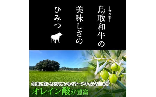 【A5】鳥取和牛肩ローススライス 500g【A5等級 肩ロース スライス 鳥取和牛 すきやき すき焼き ご自宅用 ギフト 熨斗 プレゼント お取り寄せ グルメ 冷凍】