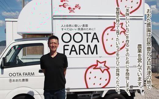 【先行予約】鳥取県産 いちご　約150g×6パック