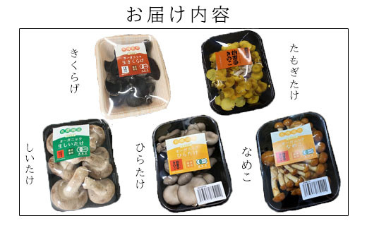 【3回定期便】オーガニックきのこ 5種 定期便