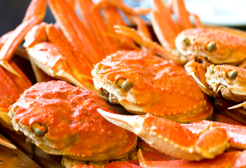 【蒸し】訳あり足折れご自宅用　日本海産親ガニ（セコガ二） 10枚【訳あり かに カニ 親ガニ セコガニ ずわいがに ズワイガニ 冷蔵 チルド ブランド 蒸し ボイル 足折れ 自宅用 国産 季節限定 お取り寄せ 鳥取県 日吉津村 日本海】