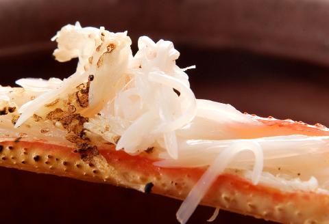 【活き】タグ付き松葉ガニ　大　２枚