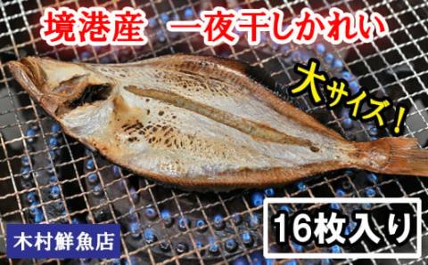 境港産一夜干しかれい（16枚）