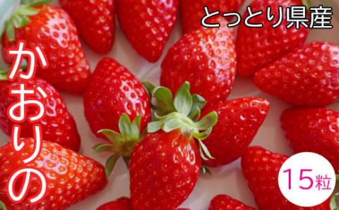 【先行予約】鳥取県産いちご かおりの 15粒（ギフト箱入）
