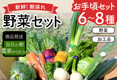 新鮮朝採れ野菜　お手頃セット【 新鮮野菜 6~8種類 季節 旬 野菜 果物 詰め合せ 国産 おまかせ ミニセット 葉物 根菜 冷蔵 野菜室 加工品 鳥取県産 季節限定 山菜 加工品】