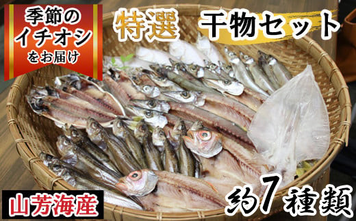 特選干物セット