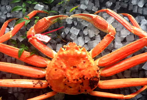 鳥取県産 訳あり蒸し松葉ガニ 大【松葉蟹 松葉ガニ カニ かに 蒸しガニ 訳あり 早期受付 季節限定 カニしゃぶ 山陰 鳥取県 日吉津村】